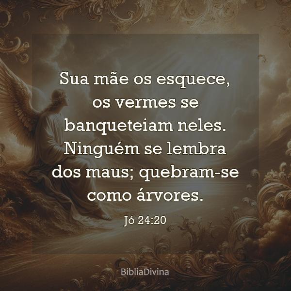 Jó 24:20