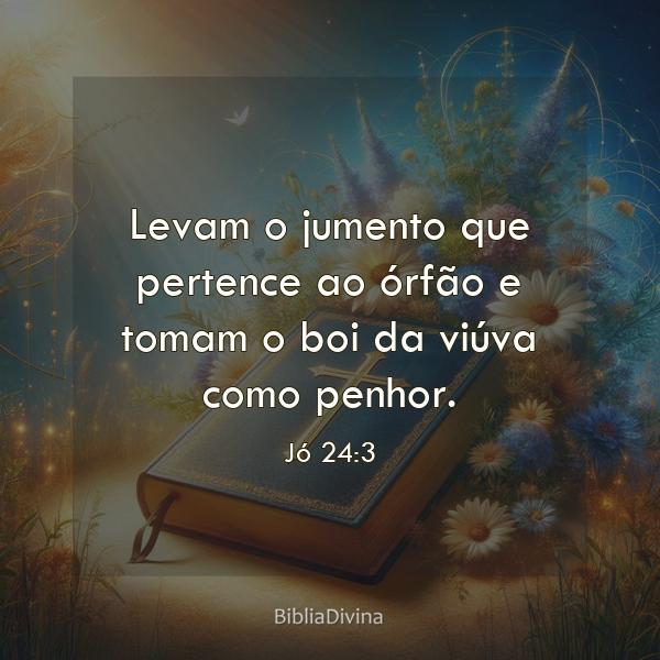 Jó 24:3