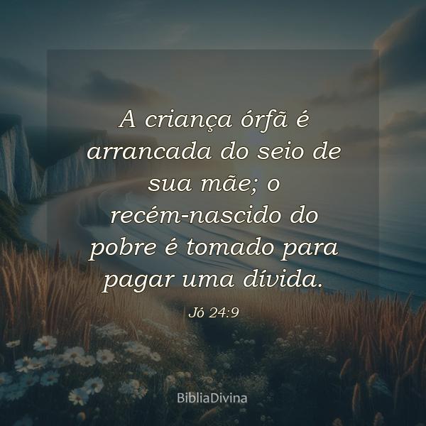 Jó 24:9