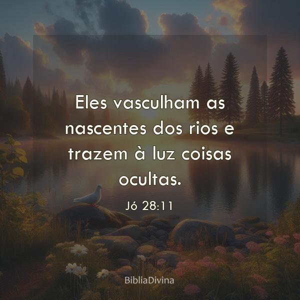 Jó 28:11