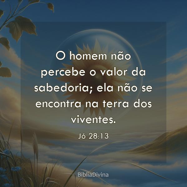 Jó 28:13