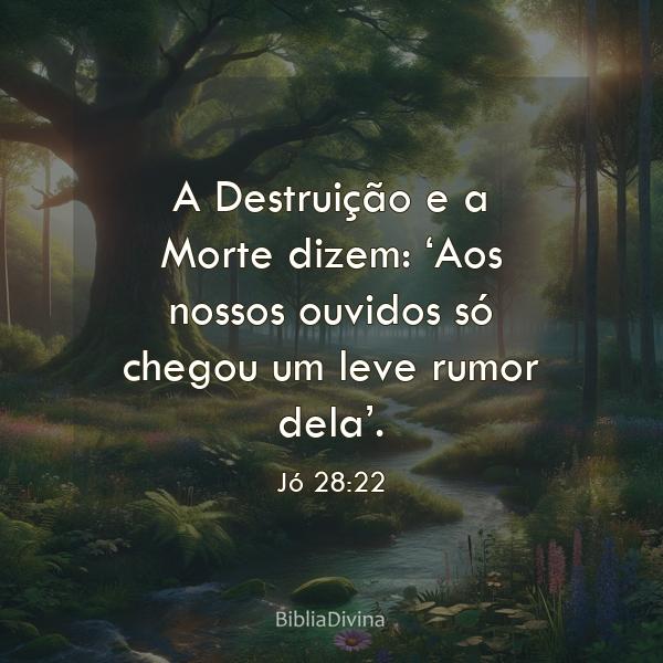 Jó 28:22