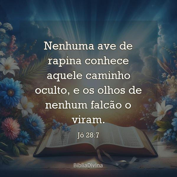 Jó 28:7