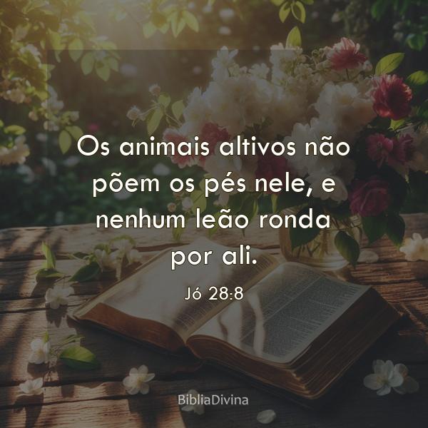 Jó 28:8