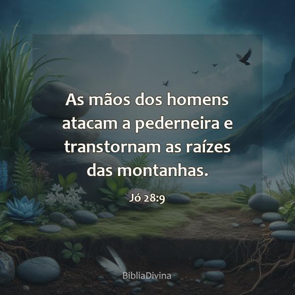 Jó 28:9