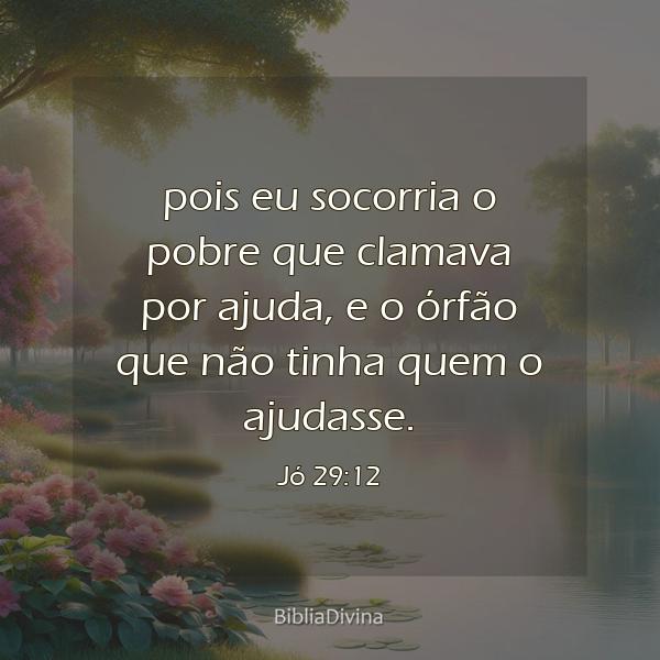 Jó 29:12