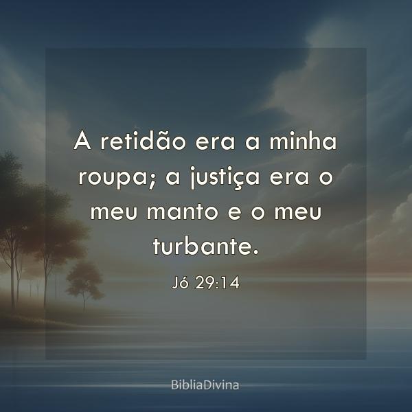 Jó 29:14