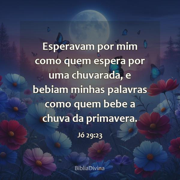 Jó 29:23