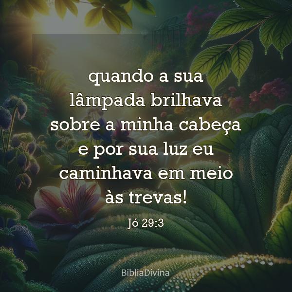 Jó 29:3