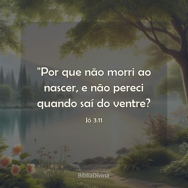 Jó 3:11