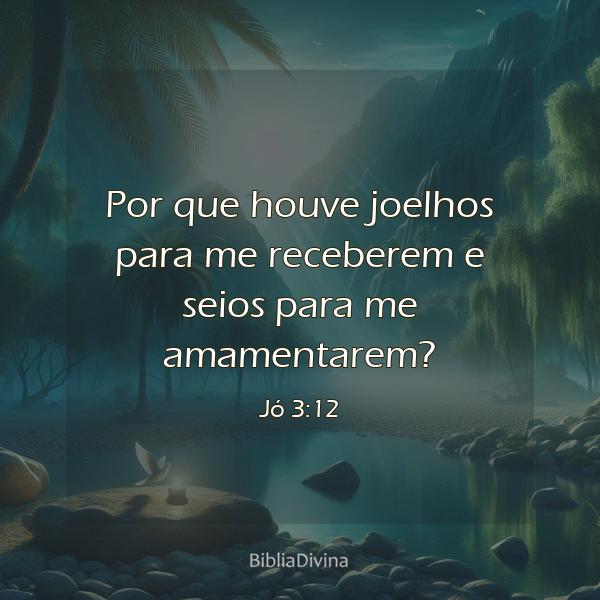 Jó 3:12