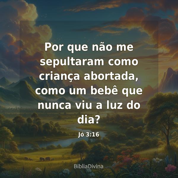 Jó 3:16