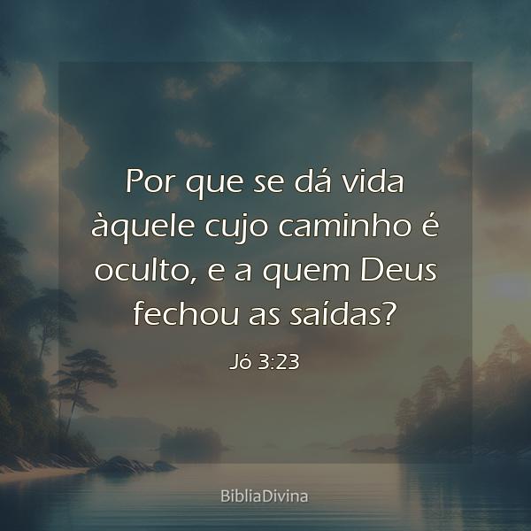 Jó 3:23