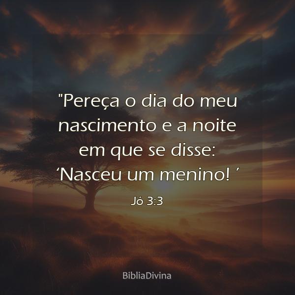 Jó 3:3