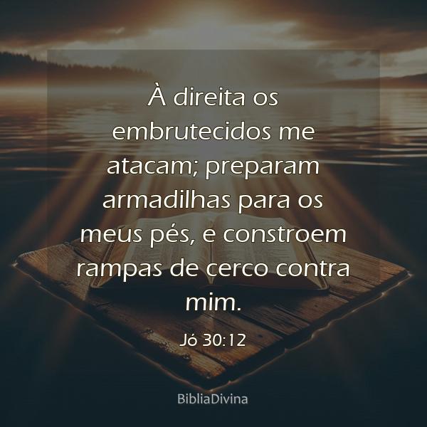 Jó 30:12