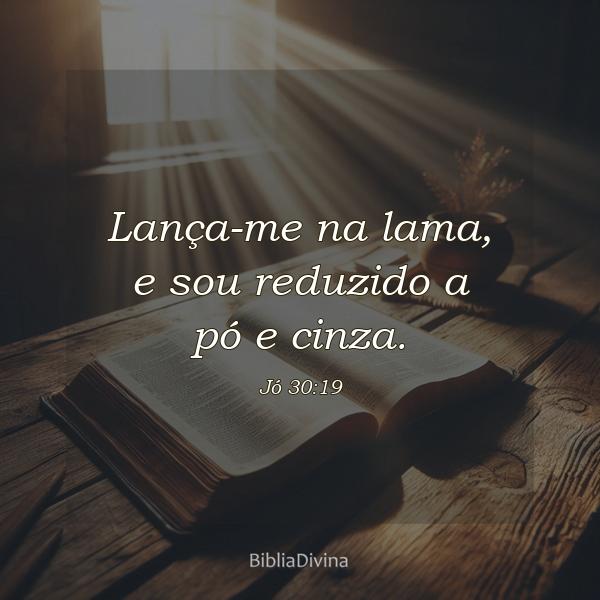 Jó 30:19