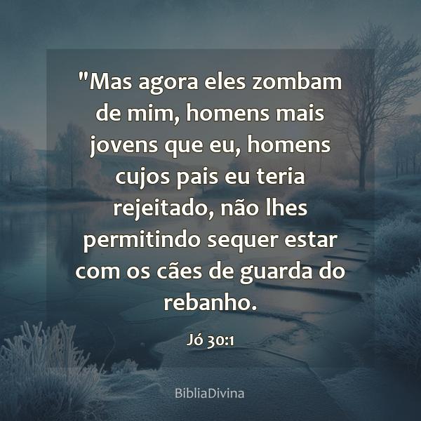 Jó 30:1