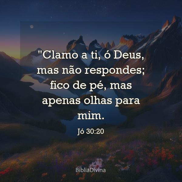 Jó 30:20