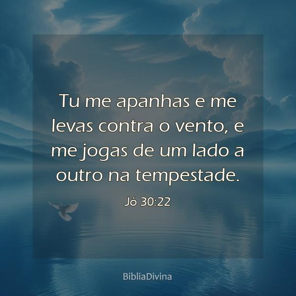 Jó 30:22