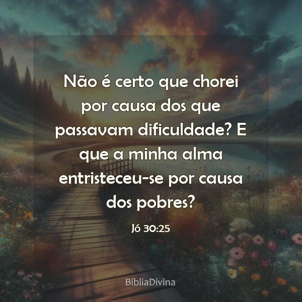 Jó 30:25