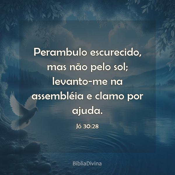 Jó 30:28