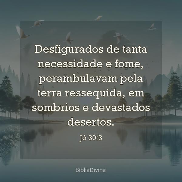 Jó 30:3