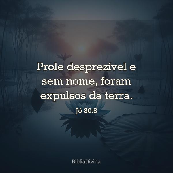 Jó 30:8