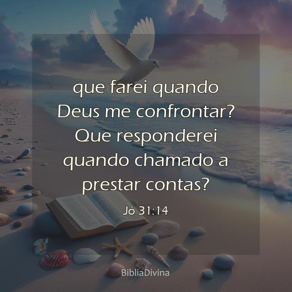 Jó 31:14