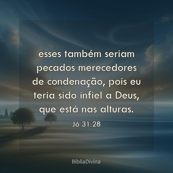 Jó 31:28