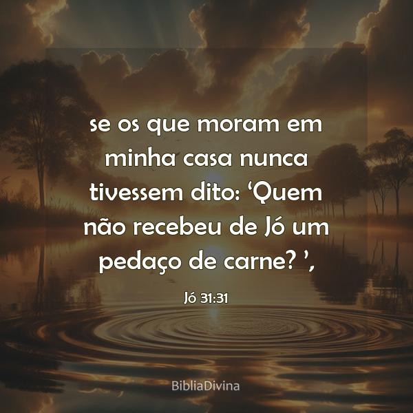 Jó 31:31