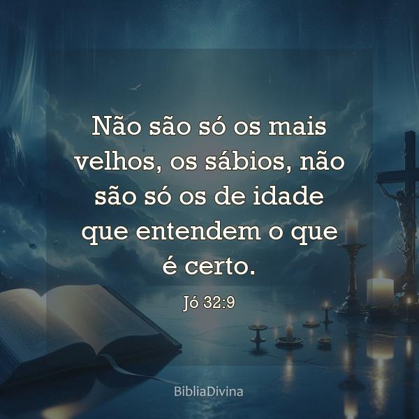 Jó 32:9