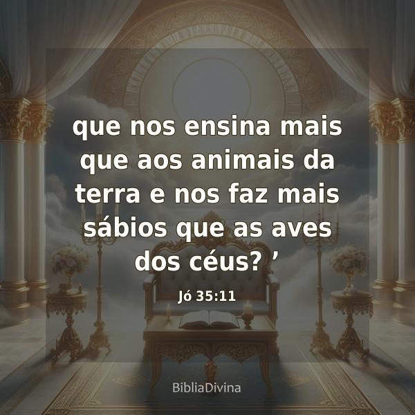 Jó 35:11