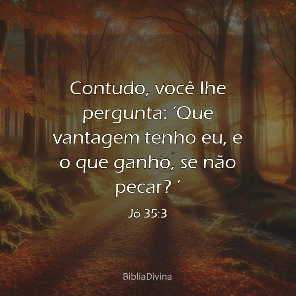 Jó 35:3