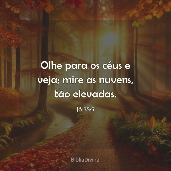 Jó 35:5