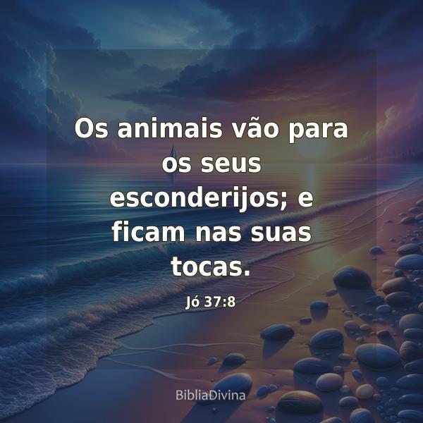 Jó 37:8