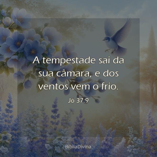 Jó 37:9