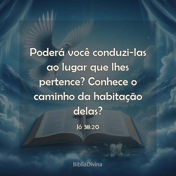 Jó 38:20