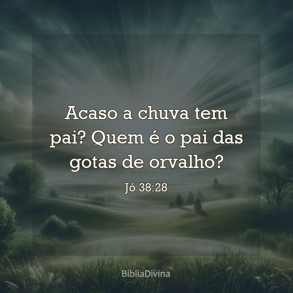 Jó 38:28