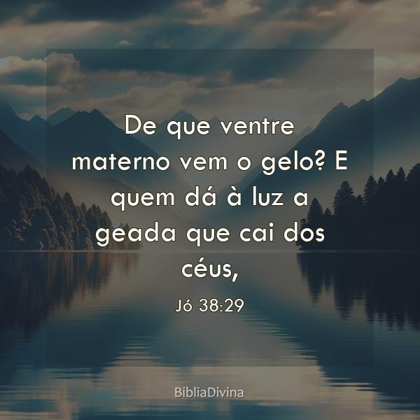 Jó 38:29