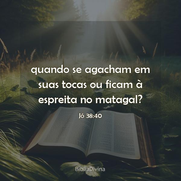 Jó 38:40