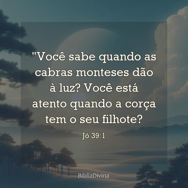 Jó 39:1