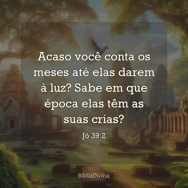 Jó 39:2