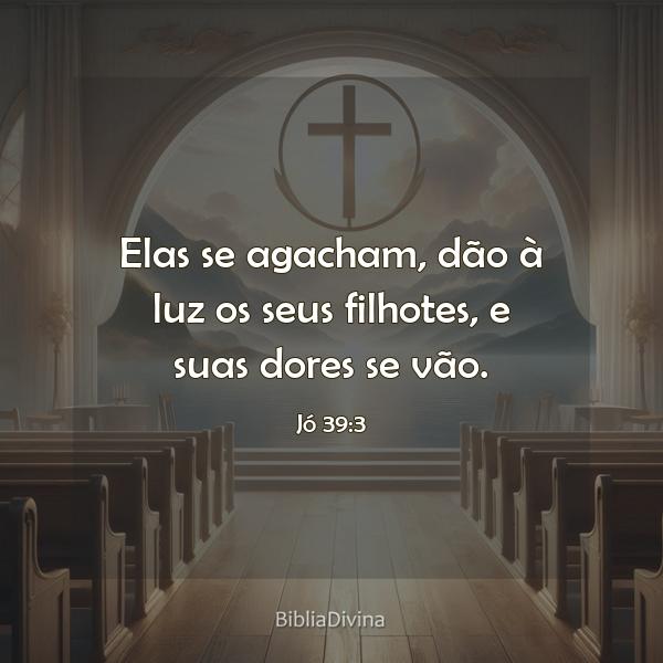 Jó 39:3