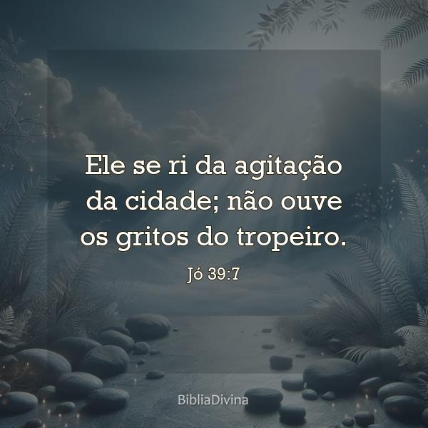 Jó 39:7