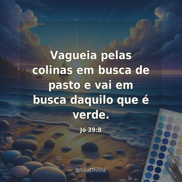 Jó 39:8