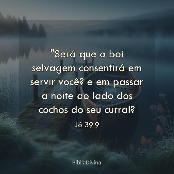 Jó 39:9