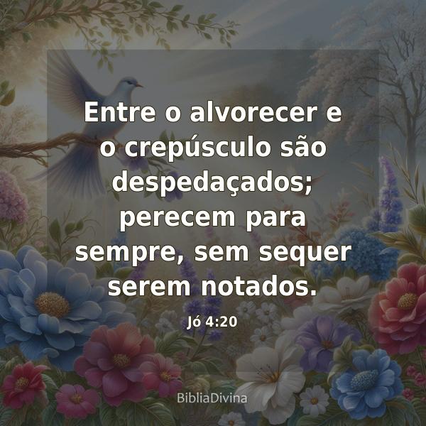 Jó 4:20