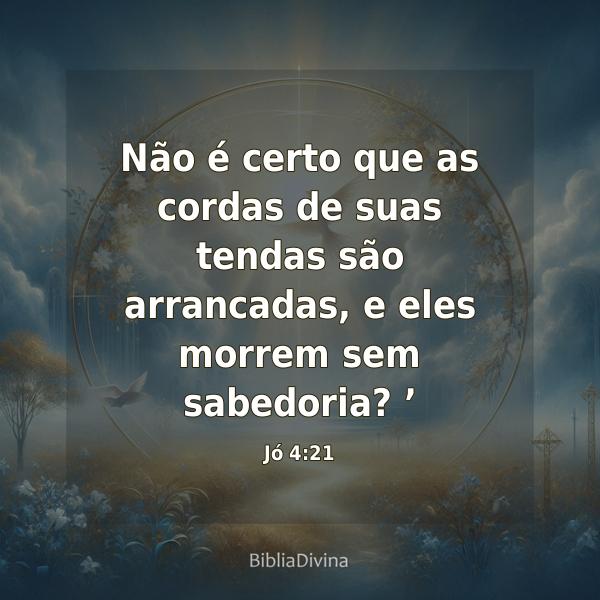 Jó 4:21