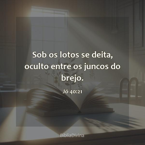 Jó 40:21