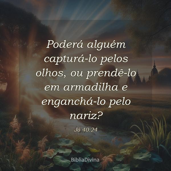 Jó 40:24